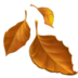 🍂